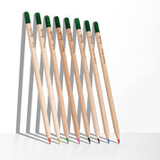 Sprout Plantable Coloured Pencils (8 piece set)